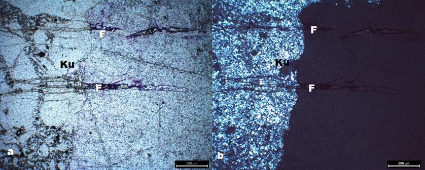 6 Siyenitlerdeki ortoklaz minerallerinde gözlenen killeşmelerin mikrofotoğrafı (Or: Ortoklaz (a. Paralel nikol, b.