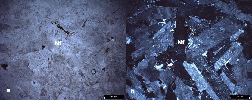 500 μm 500 μm Şekil 3.10 Nefelin siyenitlerde nefelin kristalleri ve pertitleşmeler (Nf: Nefelin (a. Paralel nikol, b.