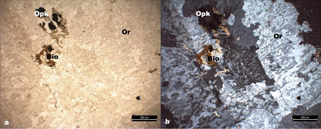 Ortoklaz minerallerinde pertitleşmeler izlenmiştir. Mafik mineral olarak biyotitler kısmen opaklaşmıştır (Şekil 3.11).
