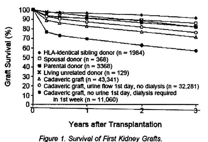 Canlı Donör Transplantasyon