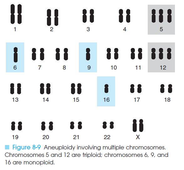 (hyperploidy) : n'in tam katından biraz daha fazla sayıda kromozom Kromozomlar nasıl oluşur?