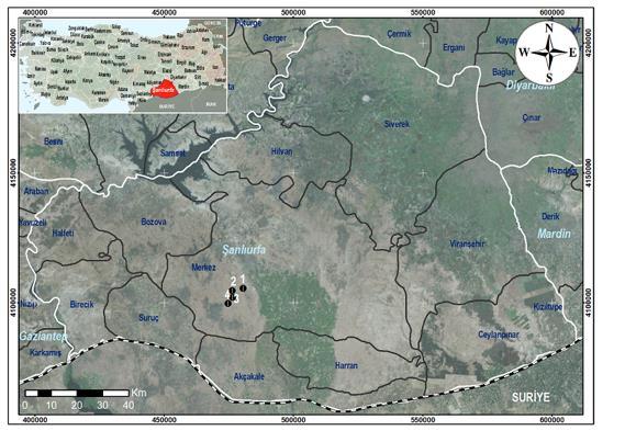 ġekil 4.2 Letheobia episcopus un ġanlıurfa ilinde gözlemlendiği lokaliteler: 1-Keberli/Eyyübiye, 2-ġahinler/Eyyübiye, 3-Keberli-Kızılkuyu arası 4- Kızılkuyu/Eyyübiye.