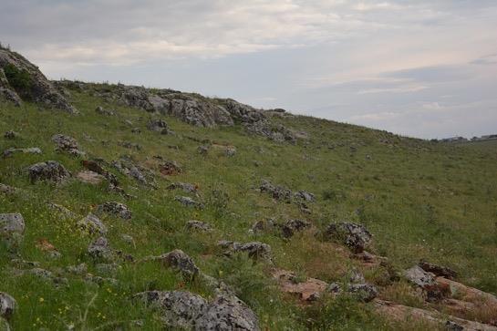 Resim 4. 9 Mahmuzlu Yılan, Ġki baģlı Yılanı gözlemlediğimiz habitata dair bir genel görünüģ (Macunlu/Halfeti, 03.05.2017, Foto: M. Z.