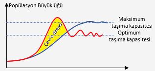 dışa ve içe göçleri eşitler ve böylece popülasyon dengede kalır. Dengeye ulaşan popülasyonlarda inişli çıkışlı dalgalanmalar görülebilir. Logaritmik artış evresinde büyüme hızı maksimumdur.