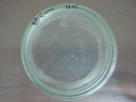 Hazırlanan ortam, laminar (steril) kabinet içerisinde 9 cm lik petrilere 1/3 oranında dağıtıldı.