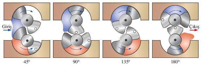 Bir hacimsel pompa tipi olan iki loplu dönel bir pompanın çalışmasındaki dört evre (tam turun sekizde biri).
