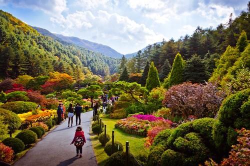 10000 m² lik kısmında, Arboretum,