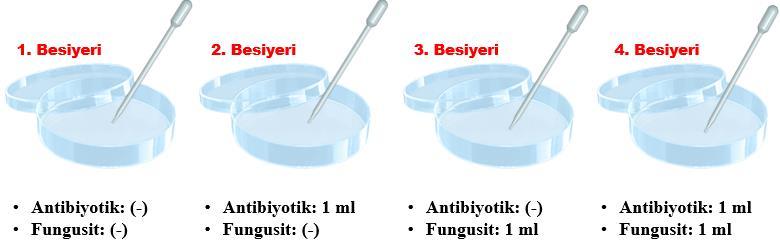 Öğrenci Kılavuzu Fungusit ve/veya antibiyotik ilave edilmiş olan besiyerleri bir süre bekletilerek ( 5 dakika), ilave edilmiş kimyasalların besiyerleri tarafından iyice emilmesi sağlanır.