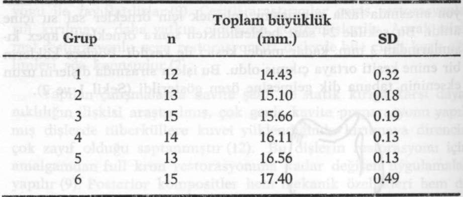 DOLGULARIN KIRILMA DAYANIKLILIĞINA ETKİLERİ Şekil 2 : Dişlerin akril blok içinde kök uçları kesildikten sonraki şematik