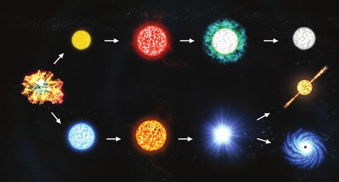 : Gök Cisimleri. Samanyolu Avcı Halley. Küçük kütleli yıldız Kızıl dev Beyaz cüce İkaye - Zhang Andromeda Büyükayı ukarıdaki tabloda bazı gök cisimlerine ait örnekler numaralandırılmıştır.