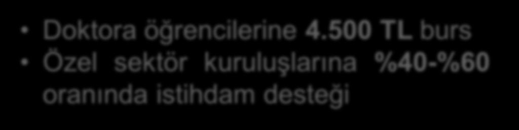 BİDEB 2244 Sanayi Doktora Programı Sanayimizde