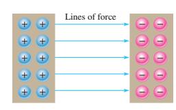 Elektrik kuvvet çizgilerinin özellikleri aşağıdaki gibidir: Pozitif yükte kuvvet çizgileri yükten dışarıya