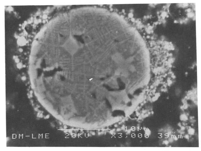 Figure 5 is an electron microscope image of details of a complex particle of Ca, Fe and Zn from sample B, formed by the accretion of smaller particles less than 1 ~tm in size.