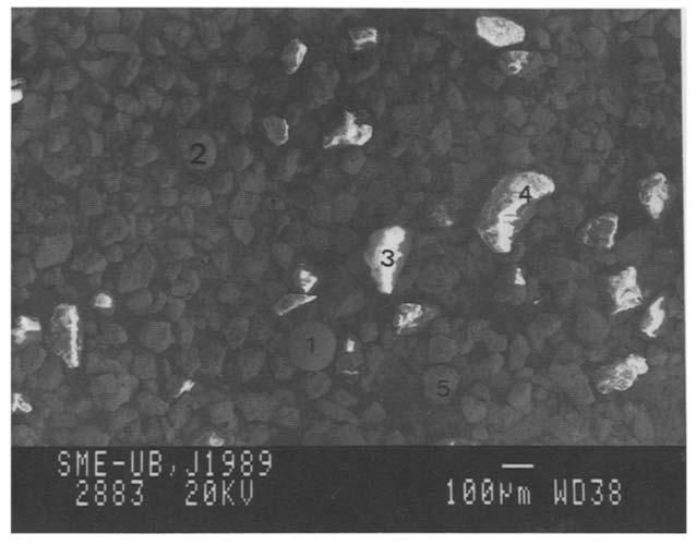 Ca[Zn(OH)3]2'2H20 calcite The spinel phase is a solid solution of magnetite and zinc ferrite. ~. ;i', ~ -, Fig. 2. SEM showing morphology of particles from sample AM.