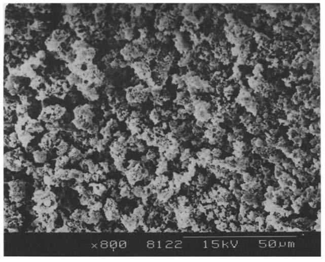 EAF FLUE DUST CHARACTERIZATION AND LEACHING WITH H2SO4 221 Fig. 5. SEM showing complex particle from sample B. Fig. 6. SEM showing complex silicate particle, sample B.