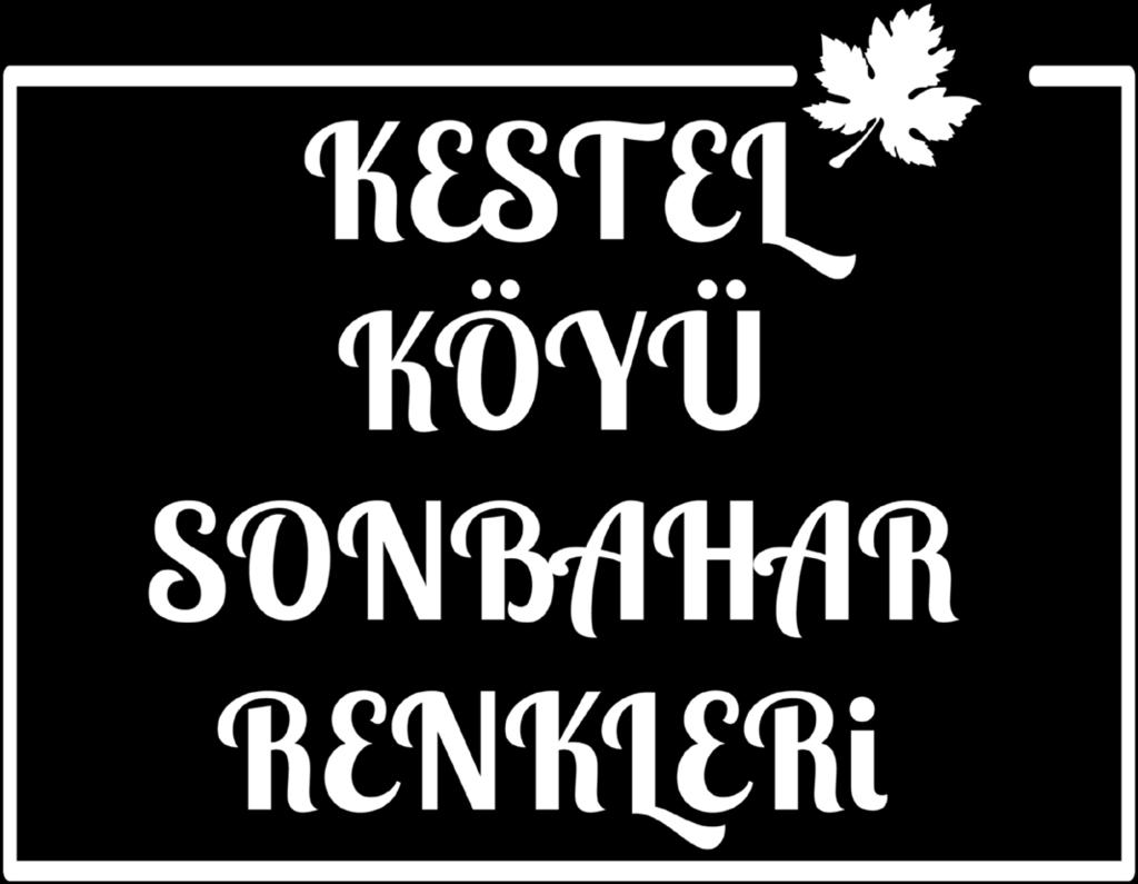 Kestel Köyü tıpkı 26 büyük uygarlığa ev sahipliği yapmış Anadolu gibi birçok uygarlığın yerleşim yeri olmuştur.