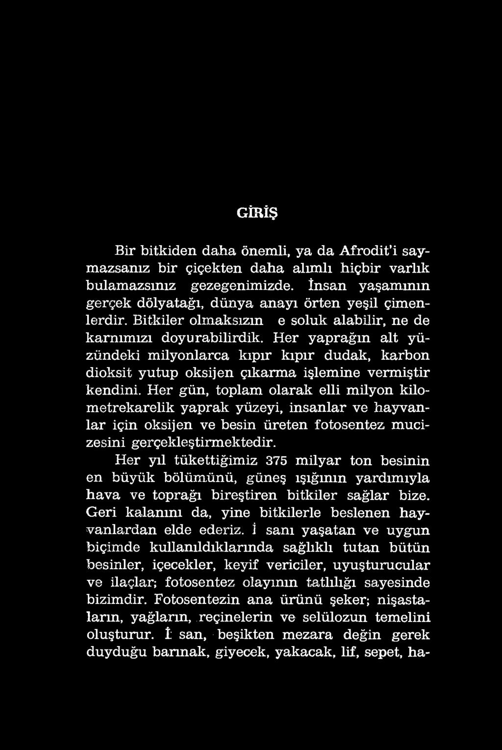 Her gün, toplam olarak elli milyon kilometrekarelik yaprak yüzeyi, insanlar ve hayvanlar için oksijen ve besin üreten fotosentez mucizesini gerçekleştirmektedir.