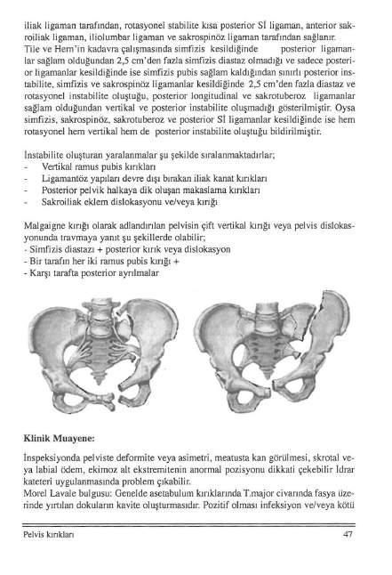 i1iak ligaman tarafından, rotasyonel stabilite kısa posterior Si ligaman, anterior sakroiliak ligaman, iliolumbar ligaman ve sakrospinöz ligaman tarafından sağlanır.