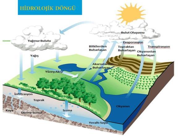 l-yağış 2- Transpirasyon (Terleme) 3-Evaporasyon (Buharlaşma) 4- İntersepsiyon (Yağış sularının bir bölümünün, bitkilerin toprak üstü kısımlarınca tutularak buharlaşması ile tekrar