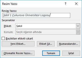 Nesneleri Etiketlemek Belge içerisindeki nesnelere Resim Yazısı ekleyerek