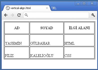 <TH>AD</TH> <TH>SOYAD</TH> <TH>İLGİ ALANI</TH> <TD>YASEMİN</TD> <TD>GÜLBAHAR</TD> <TD>HTML</TD> <TD>FİLİZ</TD> <TD>KALELİOĞLU</TD> <TD>CSS</TD> </TABLE> Vertical-align özelliği ise yukarı (top),