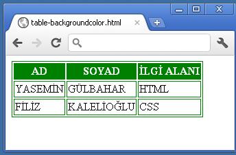 TABLE, TD, TH BORDER:1PX SOLID GREEN; TH BACKGROUND-COLOR:GREEN; COLOR:WHITE; Şekil 17 Table background-color <TABLE> <TH>AD</TH><TH>SOYAD</TH><TH>İLGİ ALANI</TH>