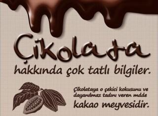 Kakao çekirdeklerinden bir içecek üretmişlerdi ve bunun onlar için anlamı yeni bir tat bulmanın çok da ötesinde değildi.