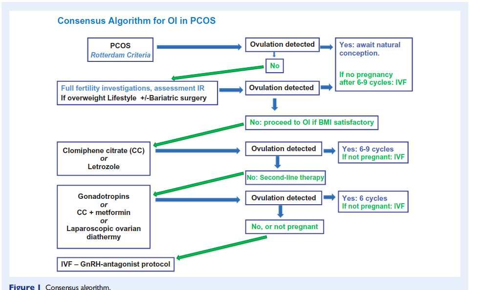 an analysis of the evidence to support the development