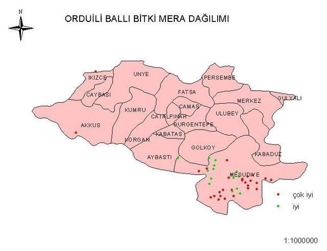 Arıcılık, özellikle kırsal kesimlerde yaşayanlar için iyi bir gelir kalemidir. Tarımsal üretimi ve geliri çoğunlukla fındığa dayalı ilimizin her ilçesinde bal üretimi yapılabilmektedir.