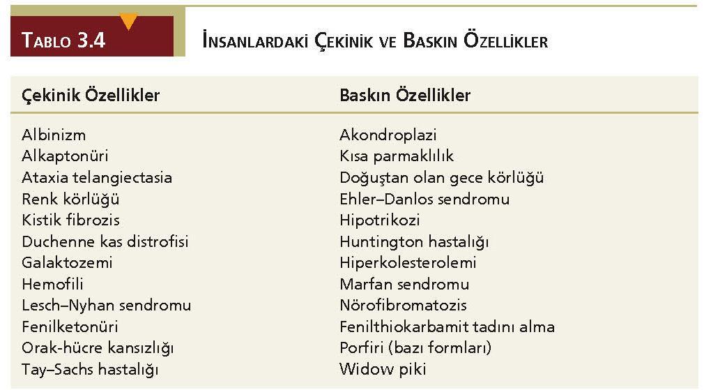 3.9 Soy Ağaçları-