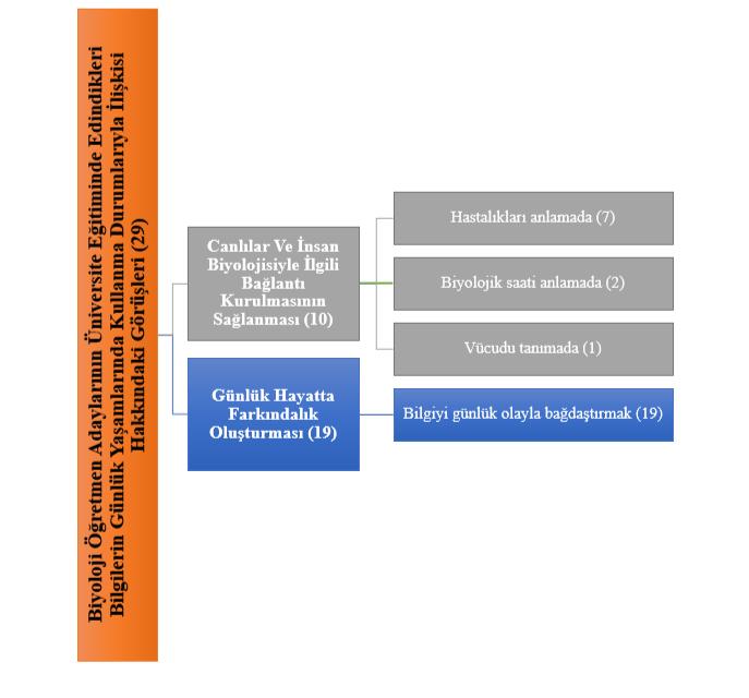 Volume 7 / Issue 1, 2019 Şekil 1 e göre birinci açık uçlu sorudan elde edilen verilerden; biyoloji öğretmen adaylarının üniversite eğitiminde aldıkları biyoloji eğitiminin günlük yaşamlarındaki rolü