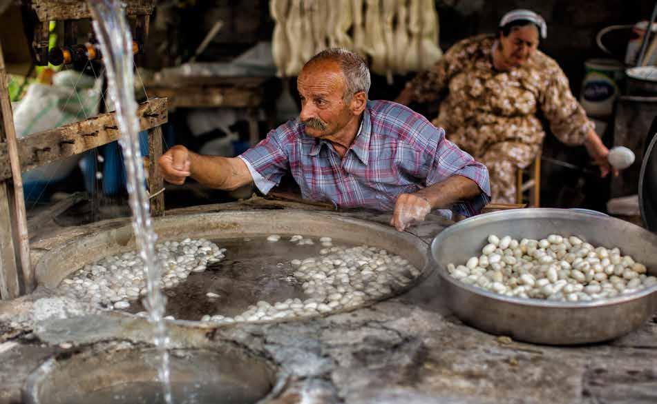 TİFTİK ÜRETİMİ, İPEK BÖCEĞİ, HAYVAN GEN KAYNAKLARINI KORUMA DESTEKLERİ Birim Fiyat DESTEKLEME KONULARI (2018) Tiftik (TL/kg) 30 İpek Böceği Desteği Hayvan Gen Kaynakları Desteği (TL/baş/ kovan) Tohum