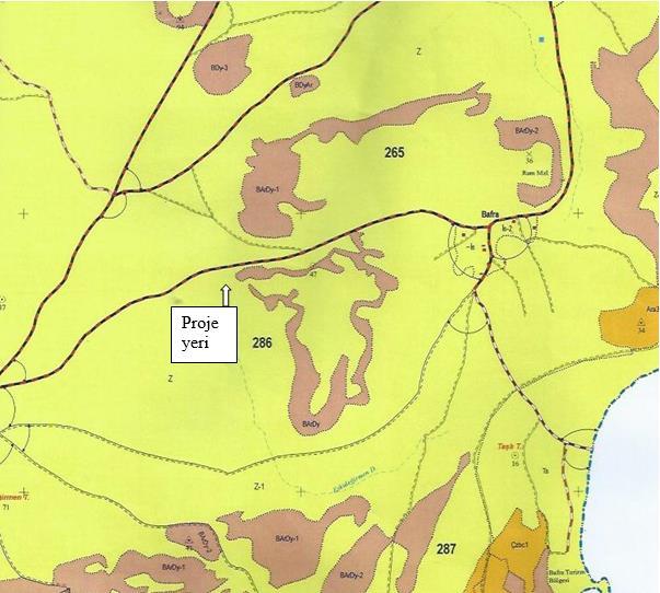 Proje yeri, Orman Amenajman planına gore 286 No.lu bölme içerisinde yer almaktadır. 286 No.lu bölmenin toplam alanı 381.5 hektardır.