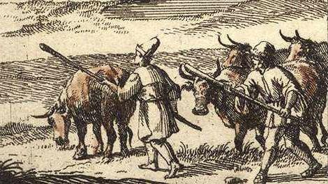 Sığır - et Macar sığırlarını Viyana ya, Augsburg a, Regensburg a, Nürnberg e, Venedik e yaya sürdüler.