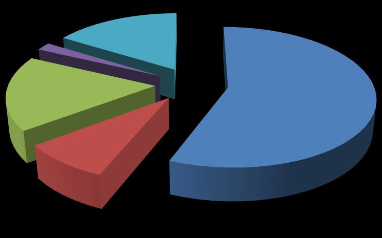 16% 17% 2% 56% 01-Personel Giderleri 02-Sosyal Güven. Kur.