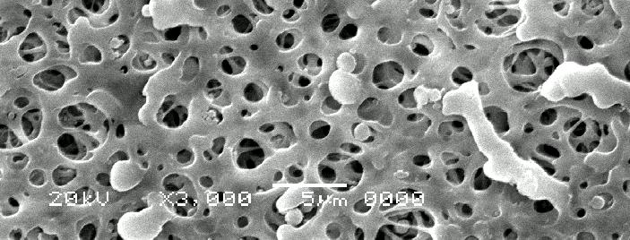 Selüloz asetat destek tabakası ile hazırlanan destekli sıvı membranların karakterizasyonu Selüloz asetat destek tabakası