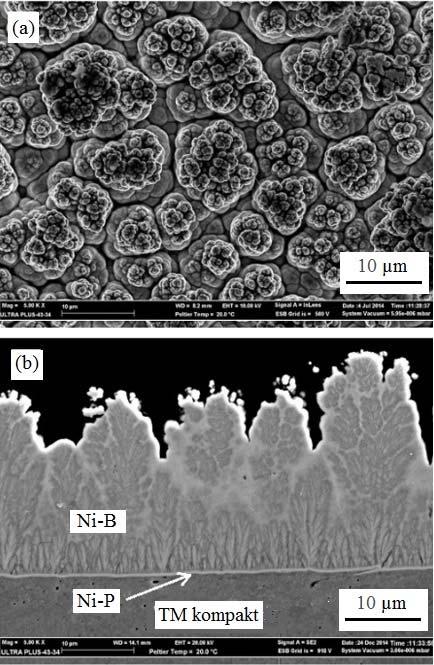 Şekil 5. Akımsız Ni-B kaplamanın X-ray kırınım deseni (The X-ray diffraction pattern of electroless Ni-B coating) 3.2. TM kompakt ve kaplamanın sertliği (Hardness of PM compact and coating) Şekil 3.