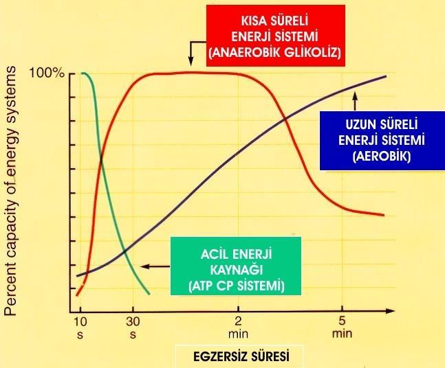 Şeki l. Enerji Sistemlerinin Yüzdelik Kullanım Değerleri.