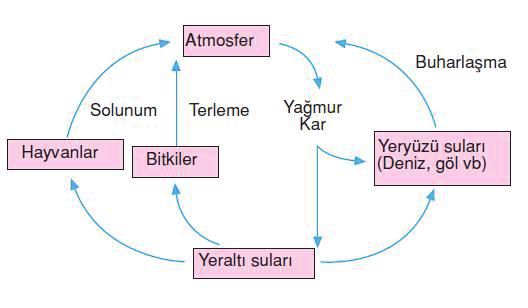 ilişki aşağıdakilerden hangisi gibidir? A) X > Y > Z B) Y > Z > X C) Y > X > Z D) Z > Y > X 16.