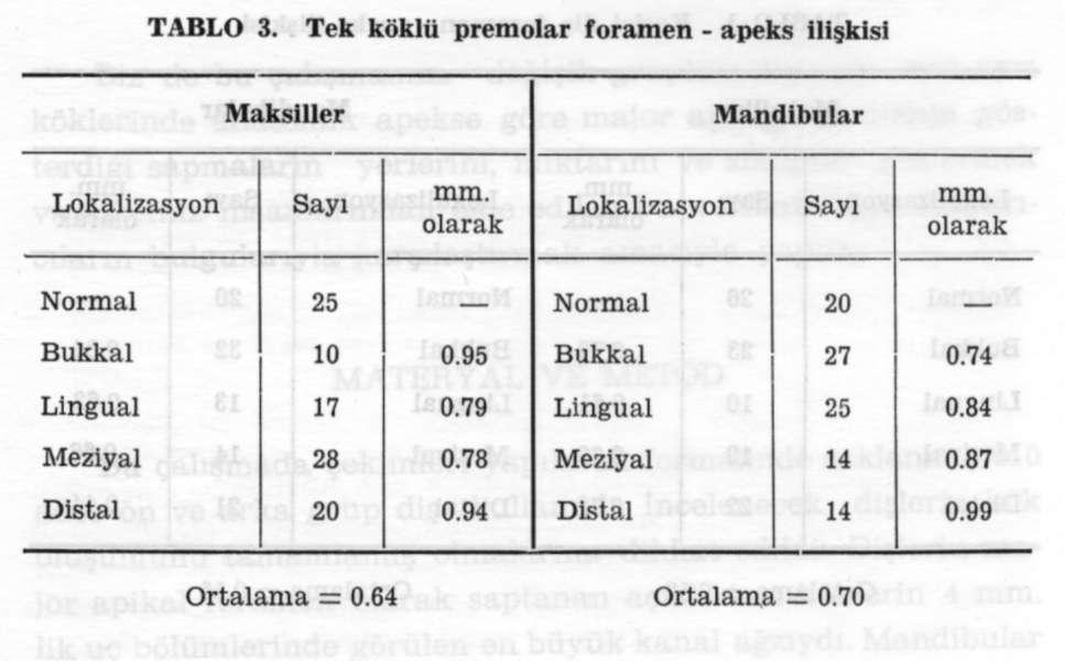 APİKALE