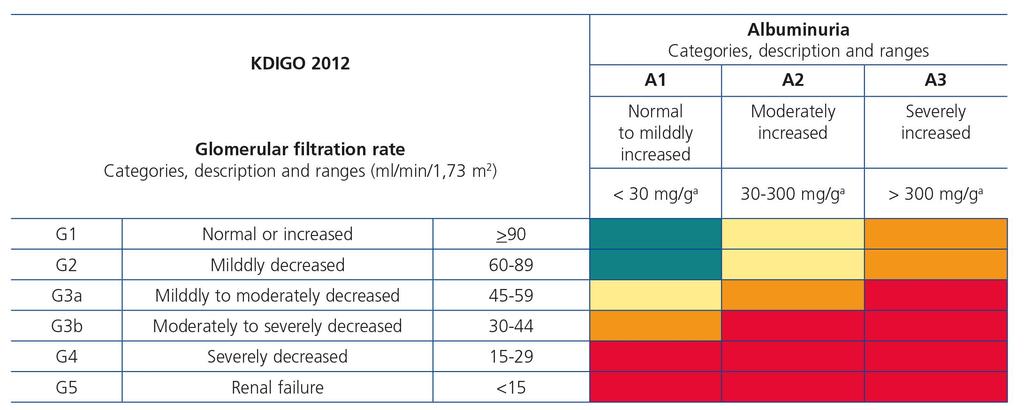 Kronik Böbrek Hastalığı Sınıflama KDIGO
