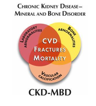Tanım KBH Renal Osteodistrofi (ROD) Chronic Kidney Disease Mineral and Bone