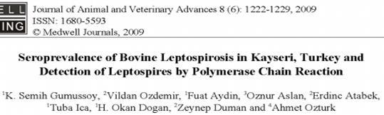 2395 sığırdan alınan kan örneği, MAT 609 (%25.42), ELISA 433 (%18.07) pozitifliği 500 leptospiroz şüpheli sığırdan 7 sinin(% 1.
