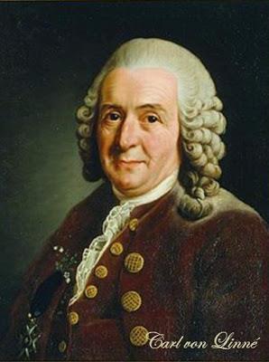 CAROLUS LİNNAEUS (Karl Linne 1707-1778): Doğadaki bitki ve hayvan