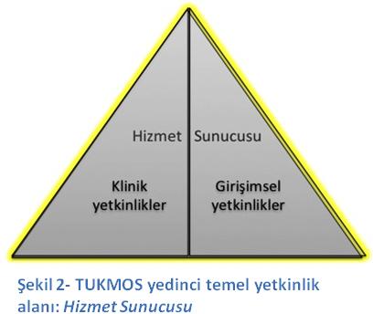 5 yeterlilikten bahsedilebilir. Bu temel yetkinlik alanları aşağıda listelenmiştir; 3.1. Yönetici 3.2. Ekip Üyesi 3.3. Sağlık Koruyucusu 3.4. İletişim Kuran 3.5. Değer ve Sorumluluk Sahibi 3.6.