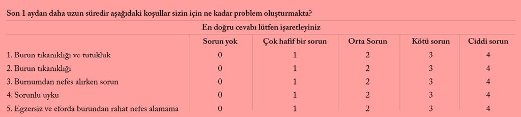 Gebelerden NOSE ölçeğini yanıtlarken hamilelik öncesi dönemi dikkate almaları istendi. Tablo 3.1.