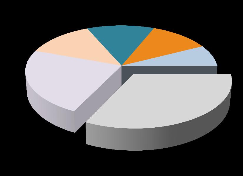 Gelir* Dağılımı İç Hat 12.9% Uzak Doğu 23.