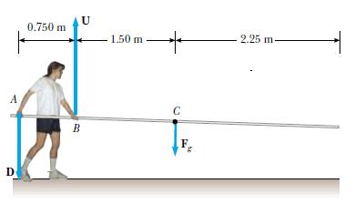 Sistem dengede ise destek nktasındaki tepki kuvvetini bulunuz. ( n? ) 2) Kalasın uzunluğu l 6m ise, d uzaklığını bulunuz.