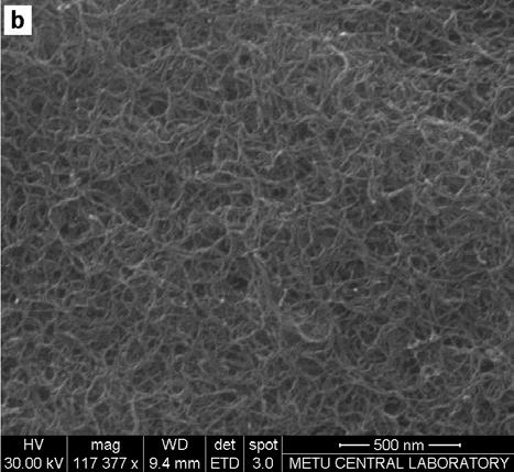 97 3.3. Karbon nanotüp modifiye edilmiş perde baskılı elektrotlar (MWCNT-SPE) ile DNA hibridizayonunun