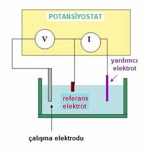 20 Şekil 6: Üçlü elektrot sisteminin şematize edilmesi. Üçlü elektrot sistemi, çalışma elektrodu, referans elektrot ve yardımcı elektrottan oluşmaktadır.